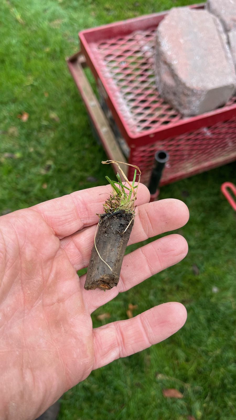 Core plug pulled from a lawn