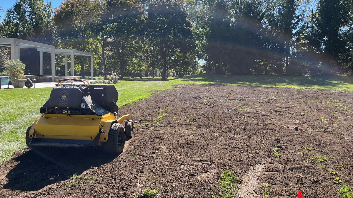 Overseeding a renovated lawn area