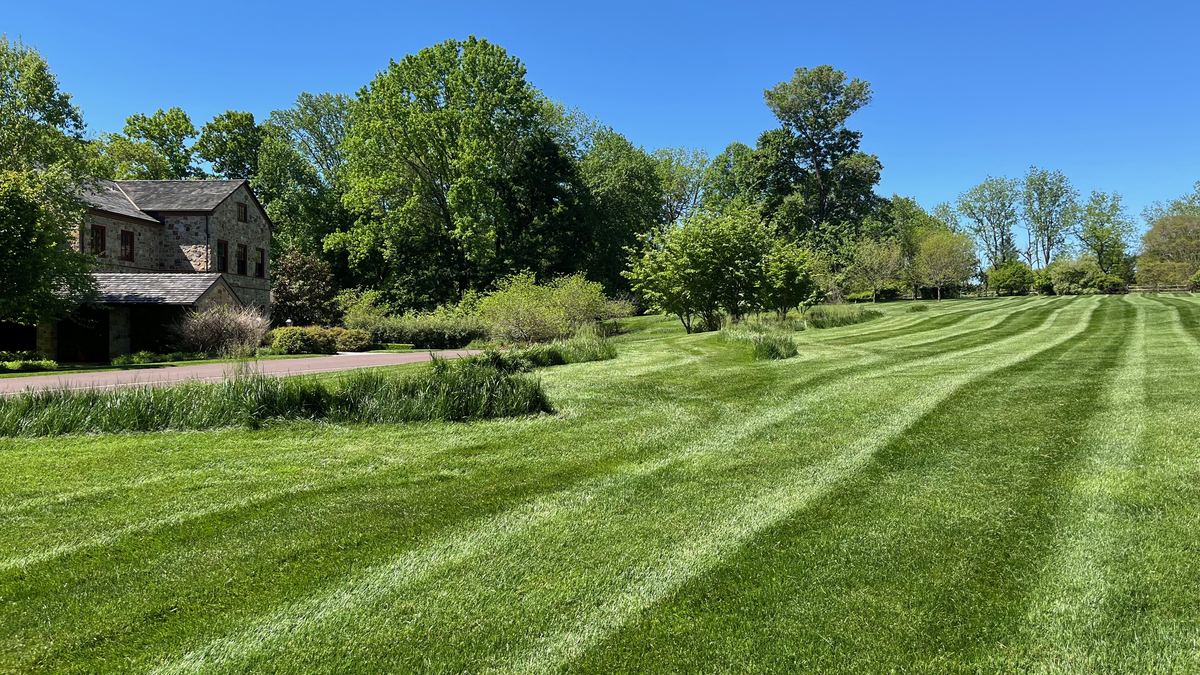 Freshly mowed striped lawn